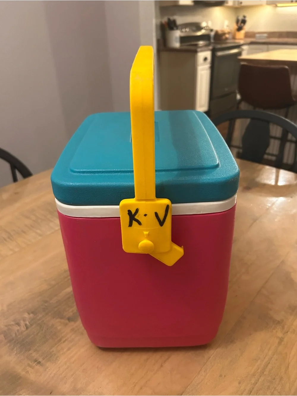 Vintage Igloo Legend 10 Cooler - Retro Pink, Teal & Yellow circa 1992